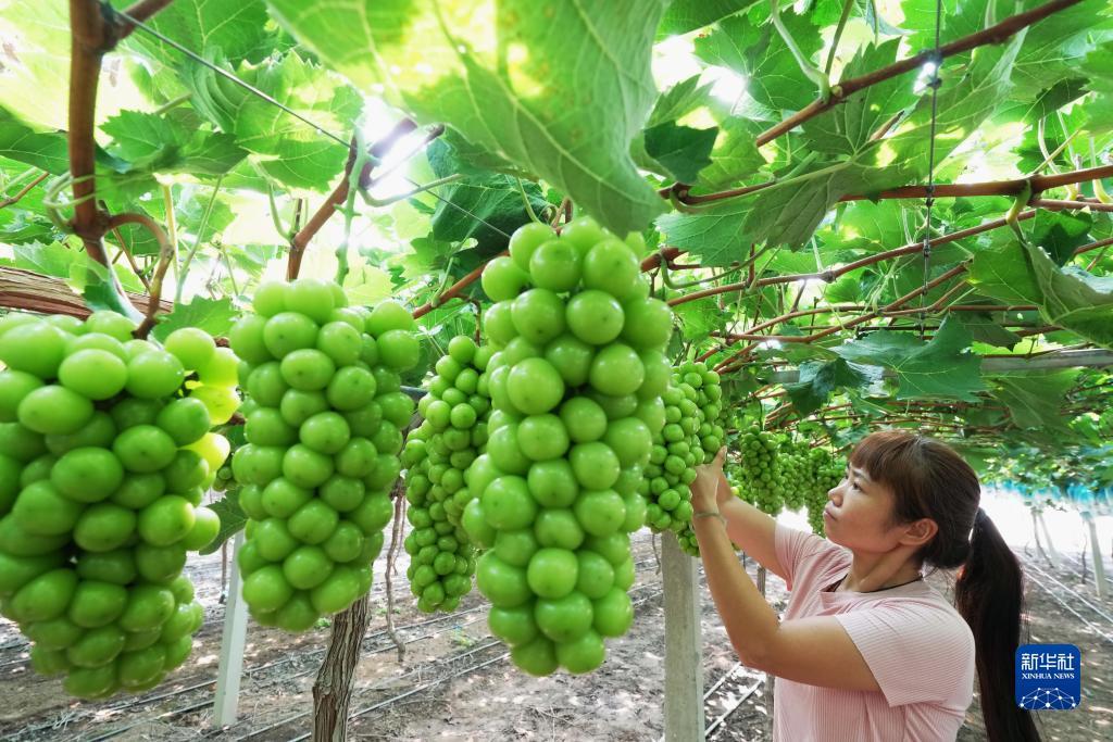 最全波音网站平台