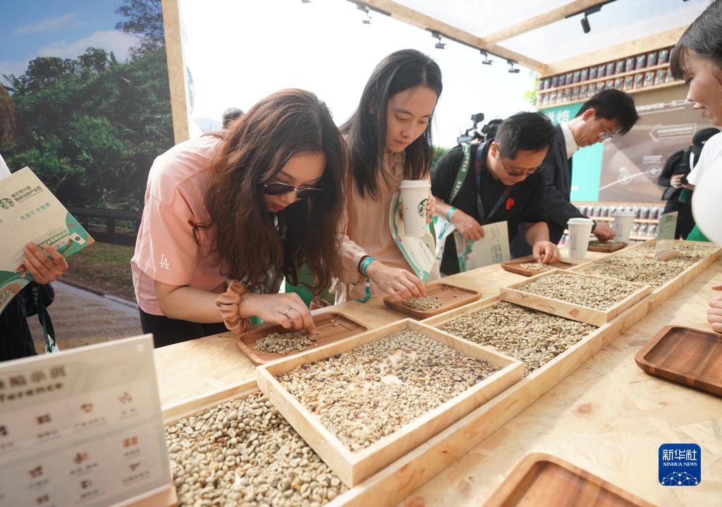 普京登录网址